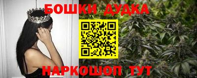 шишки Сланцы