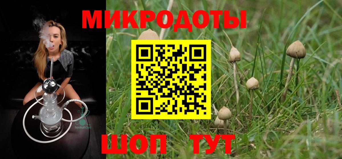 Псилоцибиновые грибы мухоморы Новочеркасск